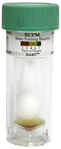 BART