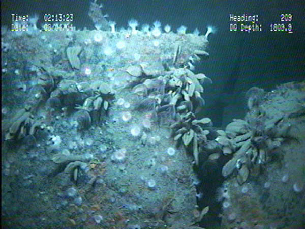 Biologic unknown-GP-1