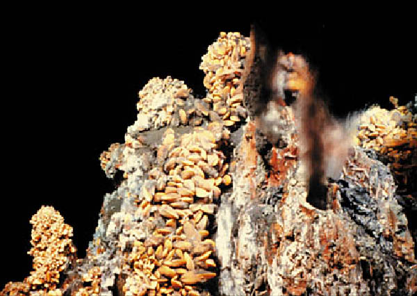 ventdisc_srearth_tag2_en