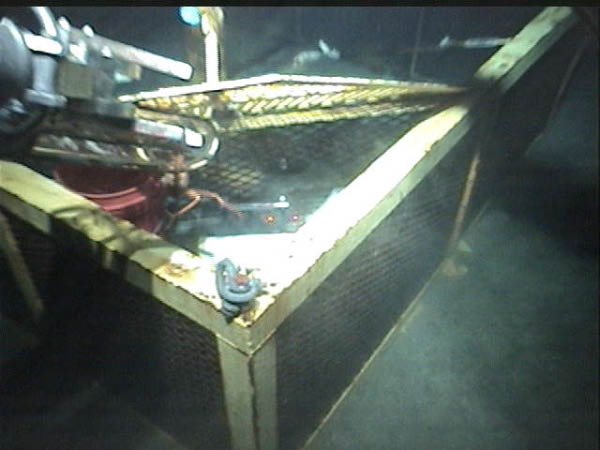 CrabDropInBasket-1